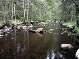 101: Nissan Västerån Naturcentrum 2004-2005 Provsträcka 2 Startpunkt Slutpunkt Förekomst av flodpärlmussla En 100 m-sträcka inventerades 2005-05-20.