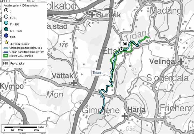 140: Tidan Tidan Kolarebäcken Tidans lopp längre norrut, i Tidaholms kommun. Denna del av Tidan kallas för Ettaksströmmarna och ingår i Natura 2000-område. En flodpärlmussla konstaterades 2002.