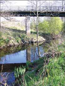 105: Viskan Surtan Naturcentrum 2004/2005 Provsträcka 11 Startpunkt Slutpunkt Förekomst av flodpärlmussla En 100-m sträcka inventerades 2005-05-12. Inga musslor hittades.