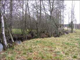 105: Viskan Ljungaån Kända hot Skogsbruk är den helt dominerande markanvändningen i avrinningsområdet och utgör ett hot. Tillsammans med utsläpp från bebyggelse kan det orsaka igenslamning av botten.