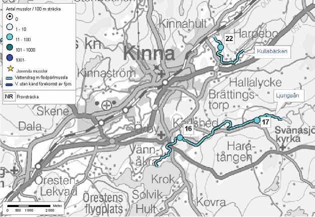 105: Viskan Kullabäcken Kullabäcken Marks kommun Delavrinningsområde:Häggån Aroid: 637935-131369 Karta över Kullabäcken (överst på kartan). Flodpärlmusslor konstaterades 2004.