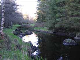105: Viskan Kovraån-Lillån Kända hot Skogsbruk är den dominerande markanvändningen, men även jordbruk är ett hot. Reglering av vattendraget är ett hot. Fördämning finns vid Årebo.