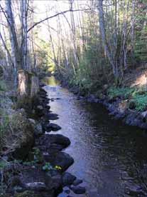 105: Viskan Kovraån-Lillån Omgivningen består av fuktig mark med vass och björksly (avverkat ända till ån för ca 10 år sedan). Längs ån finns en gles kantzon av al, björk och gran.