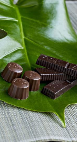 Chocolate & Confectionery Fats Product Areas Cocoa Butter Equivalents, CBE and CBI Cocoa Butter Replacers, CBR Cocoa Butter Substitutes, CBS Filling Fats Cosmetics Growth Drivers Health