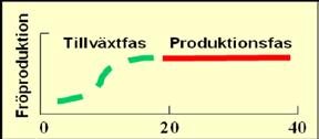 Fröplantager En fröplantage består av kloner som har testats i avkommeprövning eller klontest. Normalt finns det 15-40 kloner i en fröplantage som anlagts med testat material.