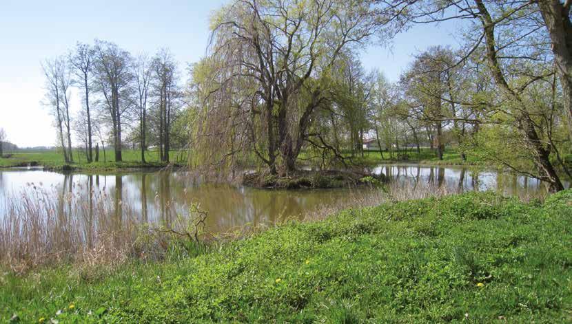 Naturgivna förutsättningar och kulturlandskapet Mörarps samhälle ligger på den norra kanten av den så kallade Helsingborgsryggen, en höjd som löper i nordväst-sydostlig riktning.