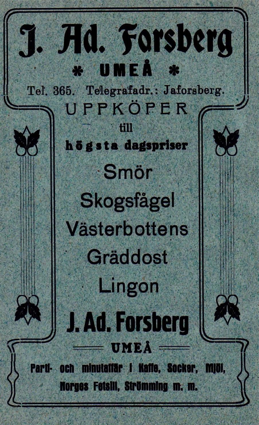 Adolf Storgatan - Härdshövdingeg. Tel.