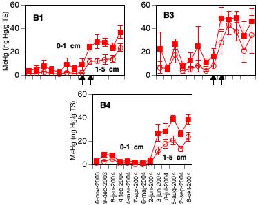 hydroxylradikaler kan oxidera kvicksilvrets metylgrupp (Chen et al. 2003). En möjlig mekanism för hydroxylradikalbildning är oxidation av tvåvärt järn till trevärt järn (Fenton reaktionen).