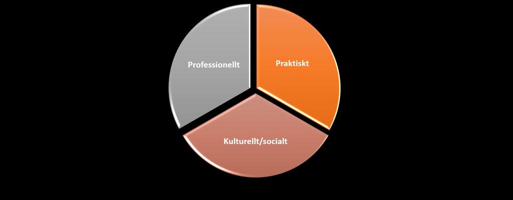 Olika områden Förstå sin roll, arbetsuppgifter, mandat, rutiner, policyer, riktlinjer, utbildning, strategier, affärsidé.