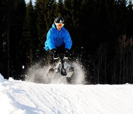 Busstur från Handsjöbyn och vidare mot Klövsjö/Vemdalsskalet.