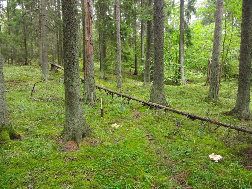 Gladö (A 44): Gammal granskog (118 år) i småkuperad, något blockig terräng i Huddinge kommun. Ytan har ett exponerat läge i en sydsluttning.