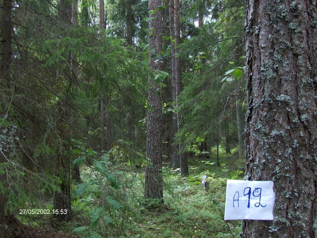 Arlanda (A 92): 76-årig skog där tall dominerar över gran. Provytan är belägen på plan mark i Sigtuna kommun nordost om flygplatsen.