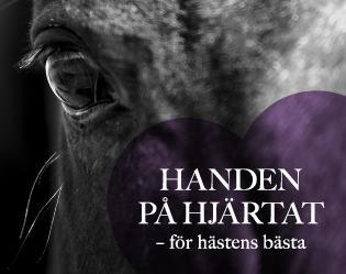 Kansli Kansliet skall vara ett stöd till Hallands Ridsportförbund och till föreningarna i Halland.