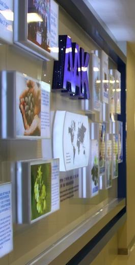 Innovationscenter i Kina Ledande center för specialoljor och -fetter för den kinesiska livsmedelsindustrin Kunder erbjuds möjlighet att samarbeta direkt med AAK:s