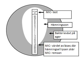MIC-bestämning med gradienttest är ett komplement till resistensbestämning med lappdiffusion och resultaten har i de flesta fall god överensstämmelse med mikrobuljongspädning, broth micro dilution