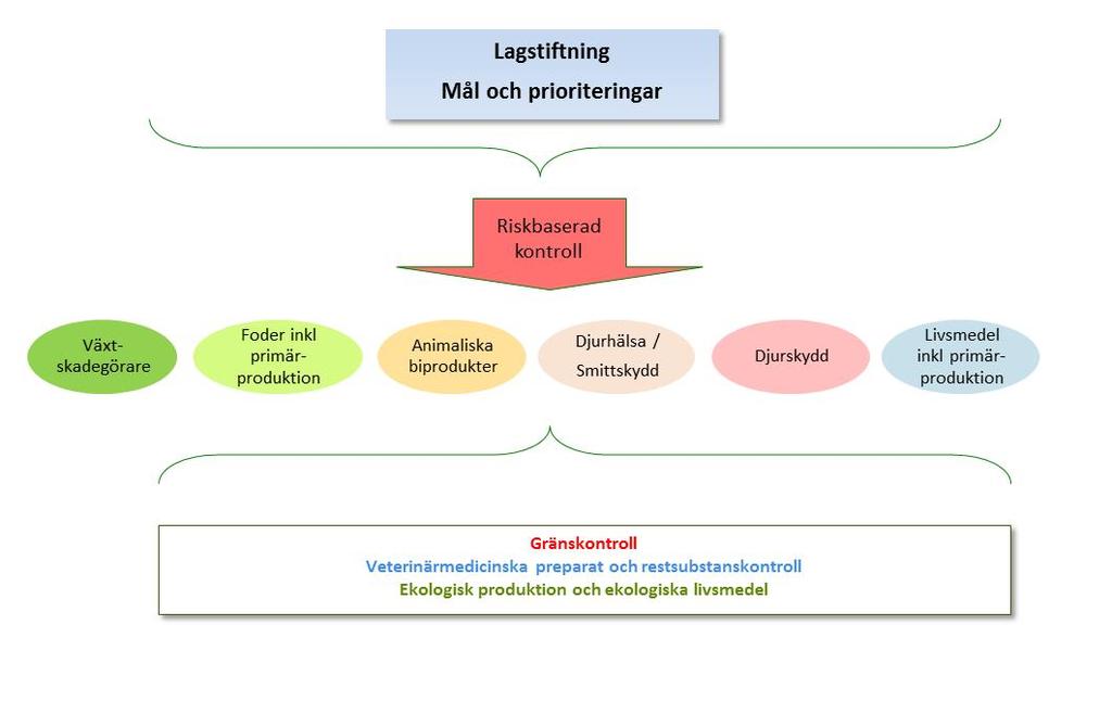 vissa fall kompletterat av nationell lagstiftning. Nationella mål och prioriteringar påverkar också kontrollen.