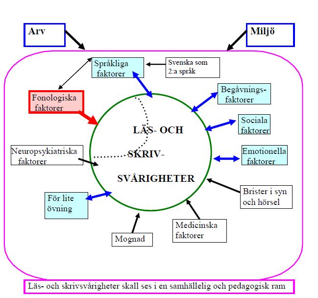 Begreppen dyslexi, läs- och skrivsvårigheter, främmandespråksinlärning, andraspråksinlärning och flerspråkighet De flesta forskare är idag överens om att det finns en biologisk orsak till att dyslexi