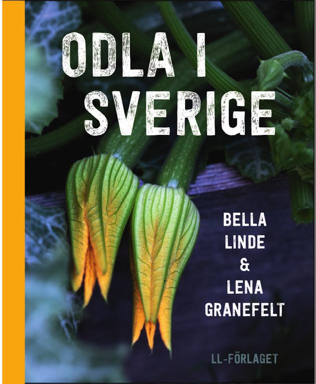 Så inleds Vilhelm Mobergs Utvandrarserie i fyra delar. De två första, Utvandrarna och Invandrarna, finns sedan tidigare också utgivna som lättläst.