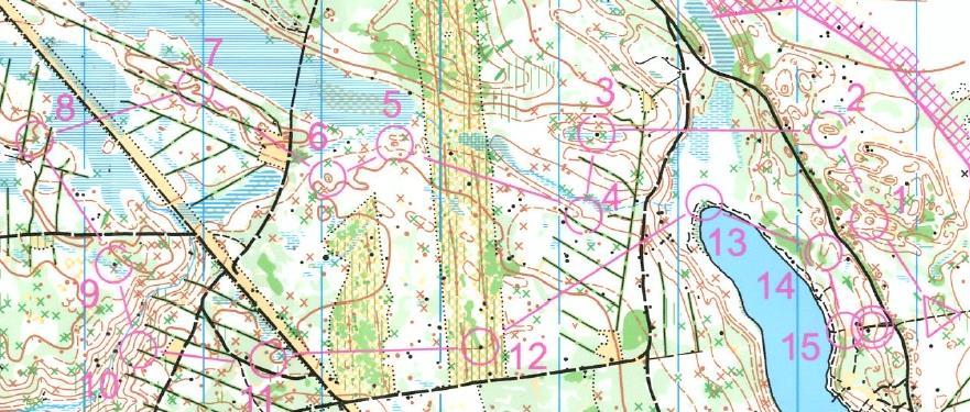 Fredag 23/6 med den 1:a etappen. Första start var kl 19:00 så att de ryssar som bodde ibland annat S:t Petersburg skulle hinna ut till tävlingen efter jobbet. Midsommar firas inte i Ryssland.