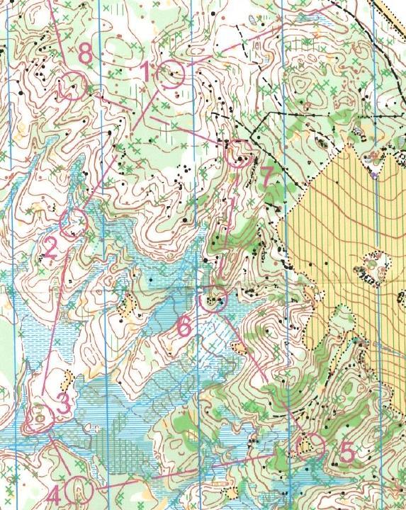 Söndag 25/6 med den 3:e etappen, första start var 10:00 och det var långdistans.