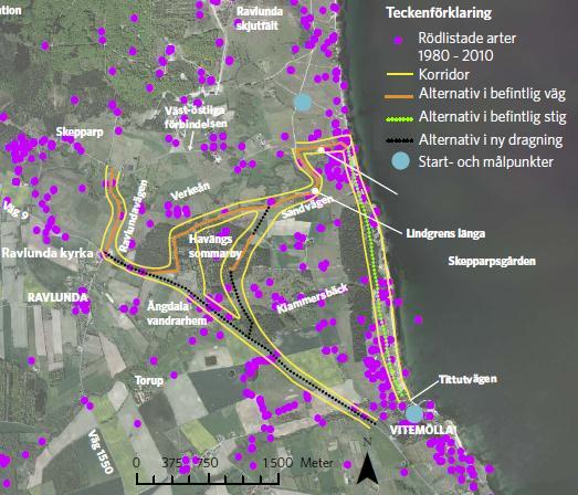 Naturmiljö Rödlistade arter Rödlistade arter Sandnejlika Sandtimotej Sandvedel Tofsäxing