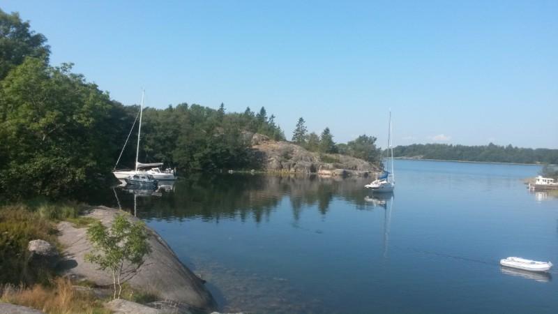 Bilden ovan: Bilden är tagen från berget på nordöstra granhamn in mot viken.