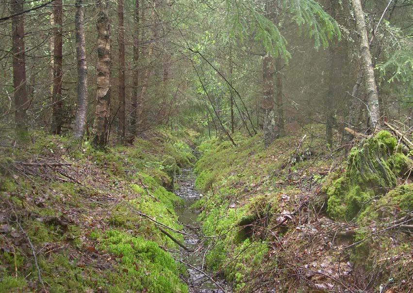 D Behov av förändringar eller kompletteringar av lagstiftningen Eftersom klimatutsläpp från dikad torvmark är mycket stora är det viktigt att klimatintresset i linje med