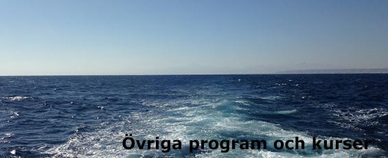 Pris övriga kurser och program DSD (Prova på dyk i pool) DSD (Prova på dyk i hav) 299 699 ReActivate ReActivate 599 699 PADI Basic Freediver PADI Freediver 1500 2950 DDI Surface Assistant DDI