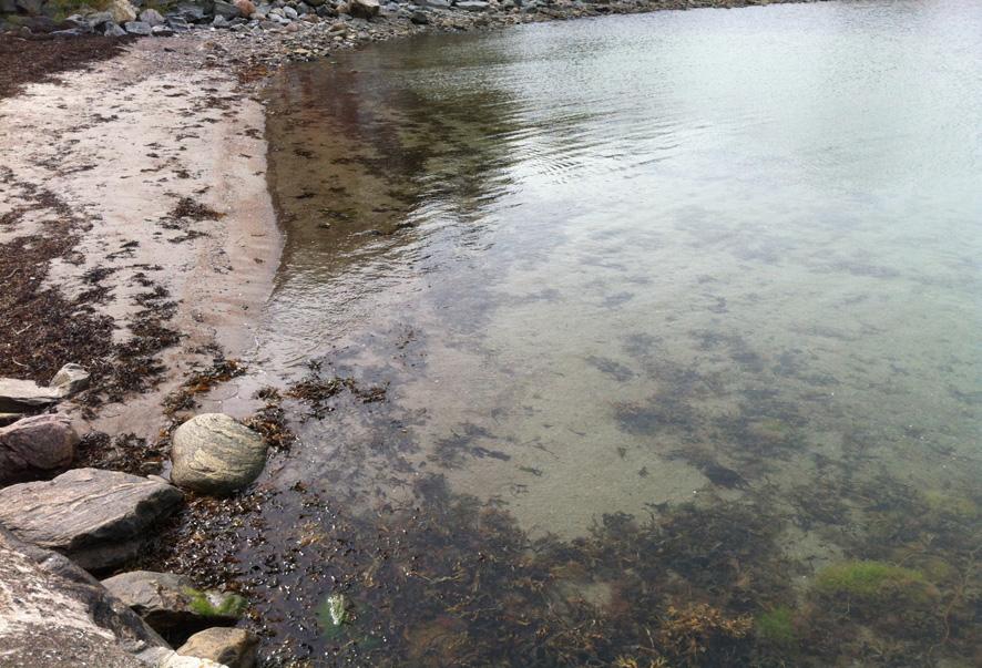 Stranden väster om yttre piren.