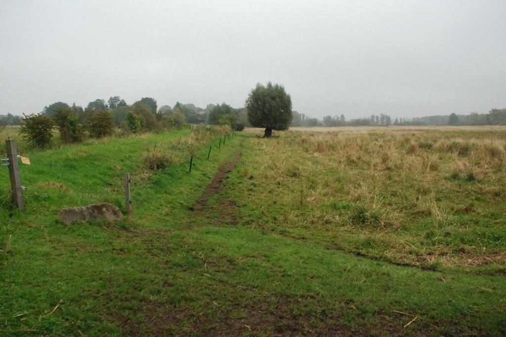 risk fosforläckage) Vattenbuffel i