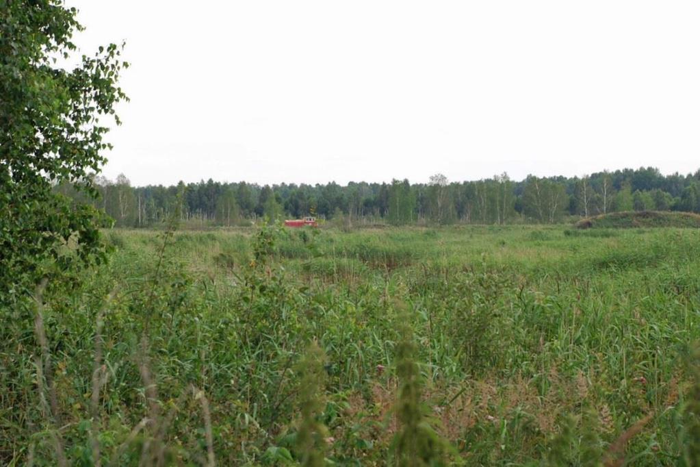 samt uttag av biobränsle Gammal täkt återvätt, skörd av biomassa