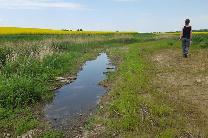 Våtmarkers ekosystemtjänster Tvåstegsdike, Skåne Naturvårdsverket Swedish Environmental Protection Agency 2018-10-17 8 Renar vatten från föroreningar och näringsämnen Minskar behovet av