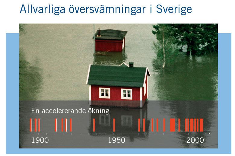 Översvämningsdirektiv