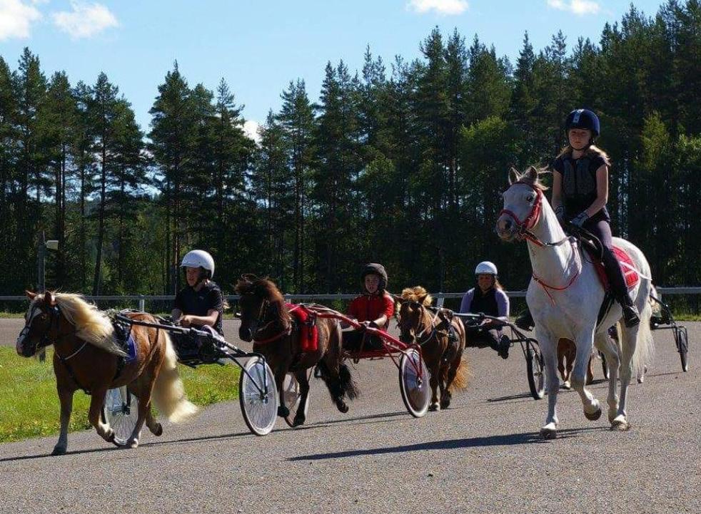 OTINGTRAVET LOPPSPONSORER Lörg Juli Tisg Juli Freg Juli Strömsuns Grtistining Norställningr A Ivrs ilservie A Strömsuns & ergmns Optik Strömsun Arbete & Friti A Ovnfjäll A Centern lopp Wllins Gräv oh