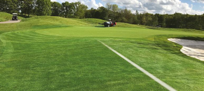 greencast.se Primo Maxx is a Registered Trademark of a Syngenta Group Company. Primo Maxx (L158389 SWED/7P PPE 341244) contains trinexapac-ethyl.
