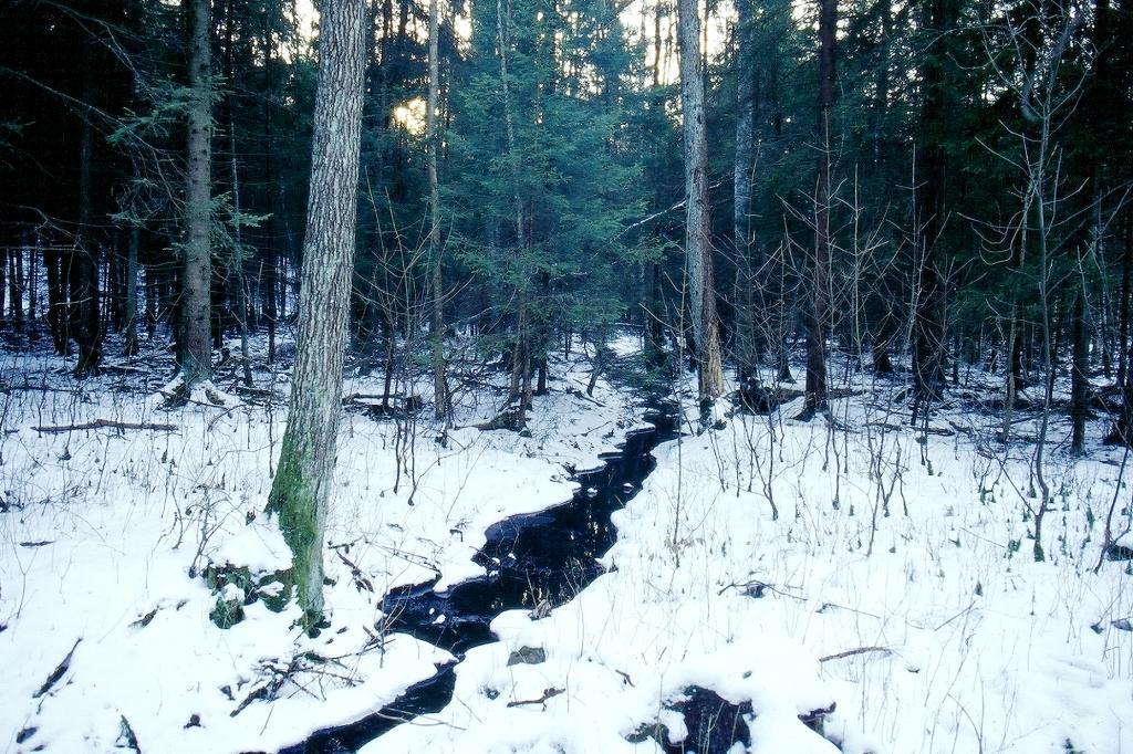 Nyhagakärret, Ekopark Omberg