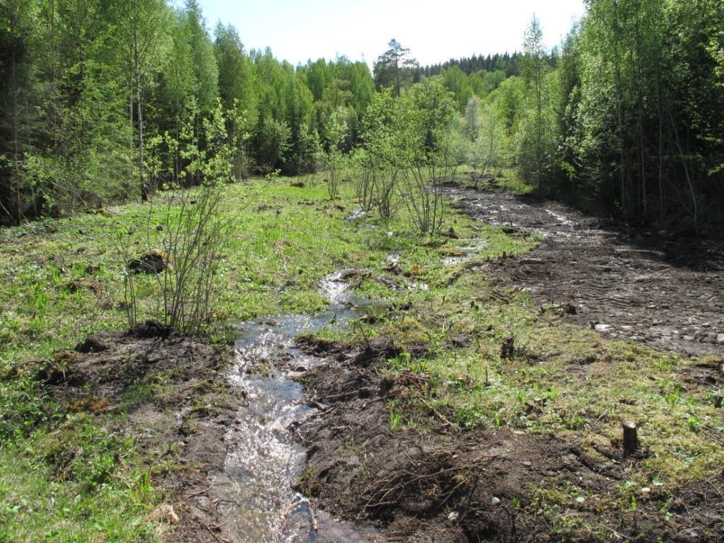 granungskog, med dike 2011.