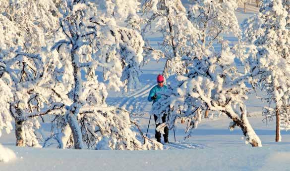 BOENDE Björnlidens Fjällby Tel: 070-651 61 56. www.bjornlidensfjallby.se Fullt utrustade lägenheter för självhushåll, 4-6 bäddar. Daniels Fjällstugor Tel: 0253-59 68 80. www.danielsfjallstugor.