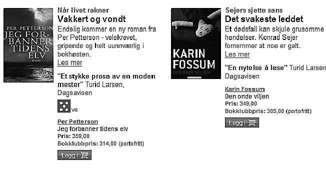 Å skape bilder av leserne i netteksten Den informasjonssøkende leseren og den shoppende leseren De to første modelleserne vi skal ta for oss er den informasjonssøkende leseren og den shoppende