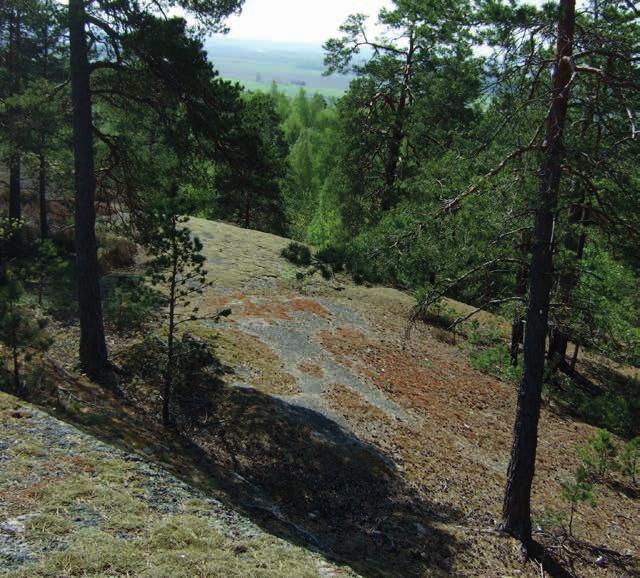 Planförslag Område 18 Grönområde Åbyskogen Skogsområdet söder om sjön Nedre Glottern kallas i folkmun Åbyskogen. Marken är i dagsläget privatägd.