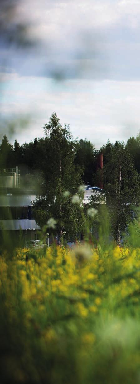 2 Innehåll Sammanfattning 4 Inledning 5 Syfte 5 Avfallsplanens visionära mål 7 Styrmedel 8 Vilka styrmedel finns?