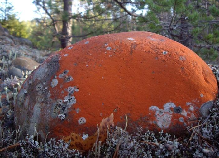 Berg- och grustäkter Hushållning med naturresurser är en del i arbetet för långsiktigt hållbar utveckling.