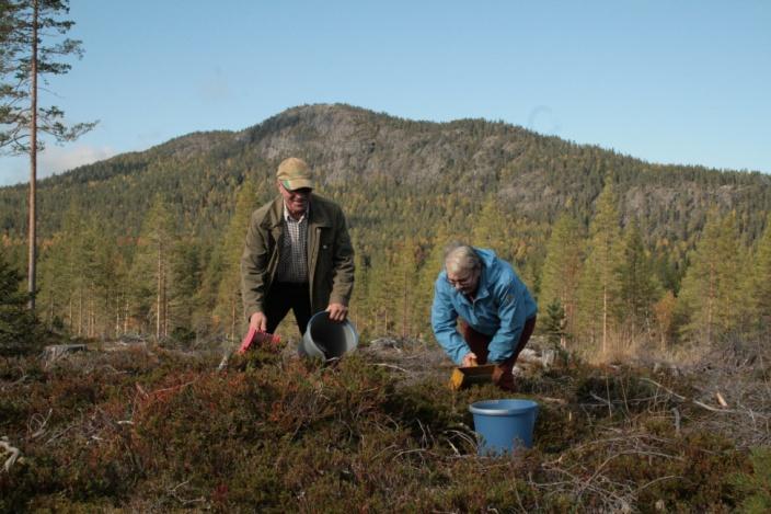 MILJÖKONSEKVENSER Den stora skillnaden mellan föreslagen översiktsplan jämfört med den tidigare är framförallt lagstiftningsförändringar som införts sedan 1990 samt att kommunen tydligare angett