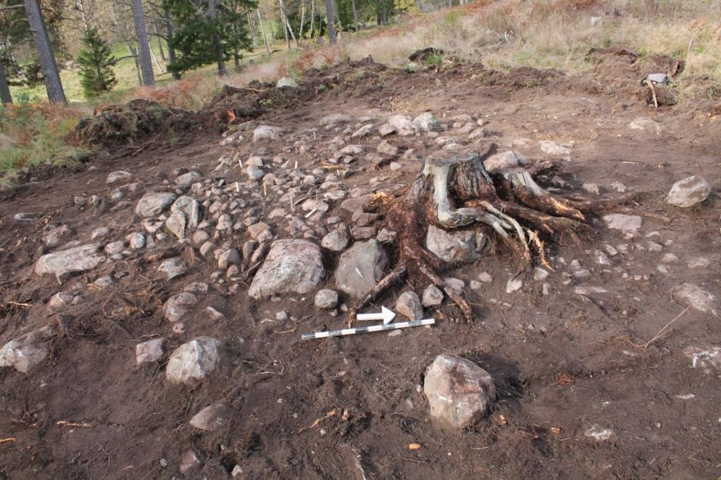 Ö-V 5,4 meter) och med en svagt välvd i tvärsnittet (0,3 meter hög) (fig 6, 7).