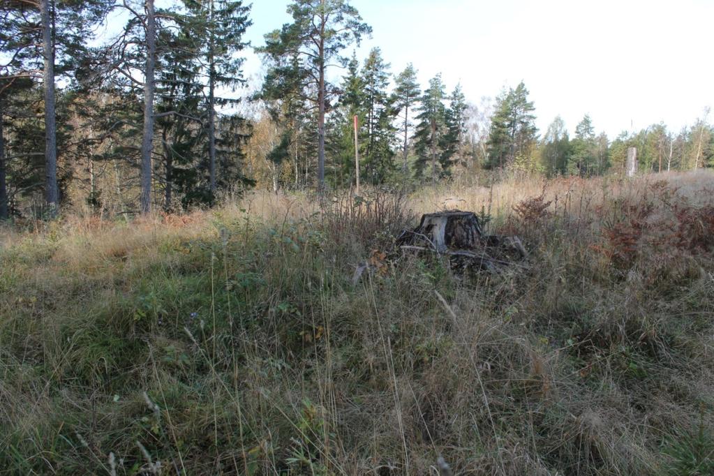 Undersökningen Inventeringen Den arkeologiska inventeringen utfördes i två steg. Först genomfördes en fältinventering för att lokalisera de registrerade gravarna hösten 2012.