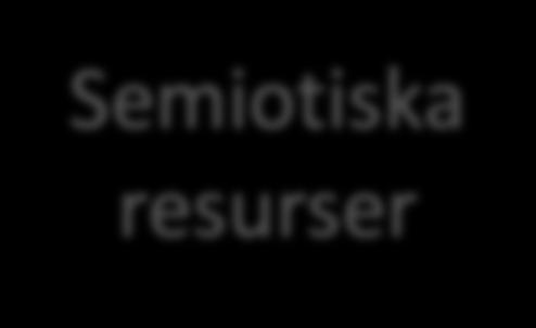 Funktionella perspektiv: Vad är en text?