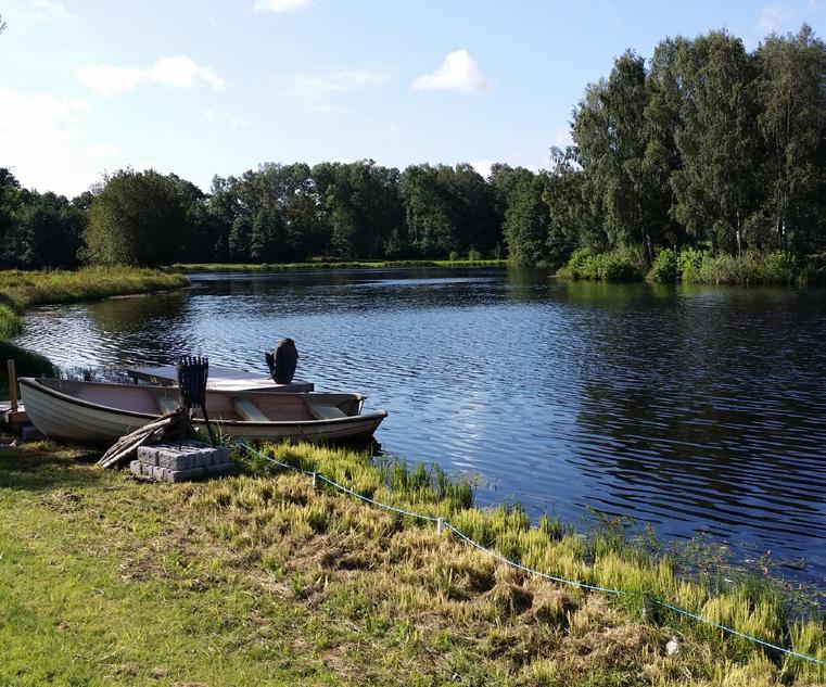 mångfalden har minskat. Förutsättningar för naturliga reningsprocesser av näringsämnen som fosfor och kväve har minskat, vilket bidragit till en övergödning av bland annat våra insjöar och kustvatten.