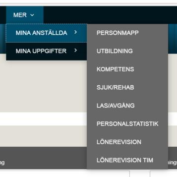 1 Hitta löneöversynsmodulen a. Logga in i HR-portalen b. Klicka på fliken Mina anställda c. Välj alternativet Lönerevision.