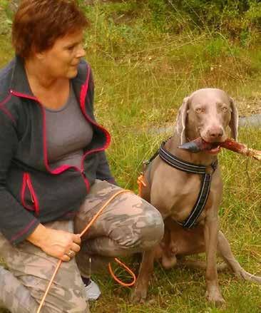 Medlemsintervju Medlemsintervjun denna gång har vi gjort med Ann-Sofi Olsson. Hon har haft weimaraner sedan 2004. Hon är en värmläning som nu har flyttat söderut till Enköping.