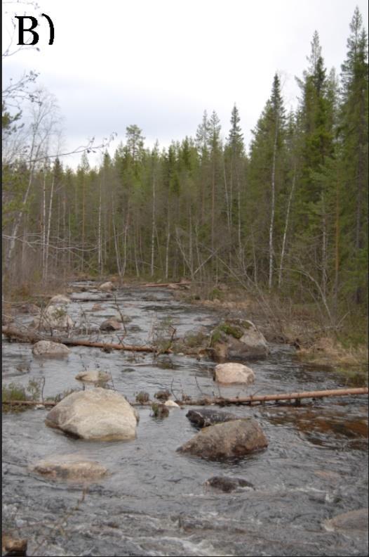 1 Studieområde Alla vattendrag där mossorna samlades in är biflöden till Vindelälven (Figur 2), vilken är lokaliserad i norra Sverige.